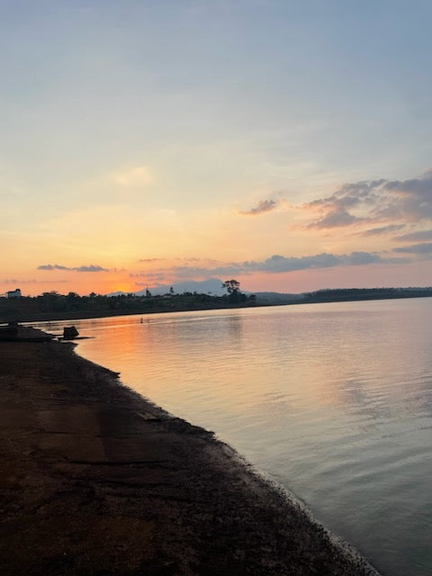 Osoam Cardamom Community Center - Everything you need to know